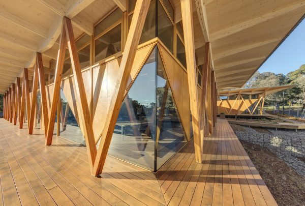 IronAsh columns and decking at Macquarie Incubator