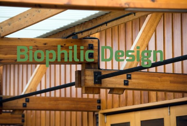 Biophilic-Design-Blog-Hero-Image.jpg