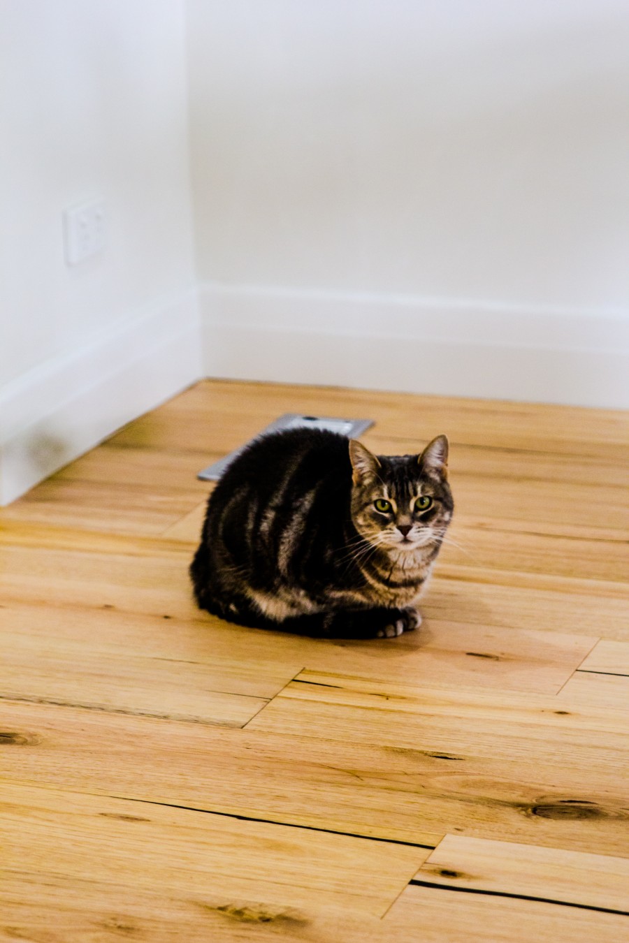 Engineered Wide Board Australian Oak Flooring | ASH