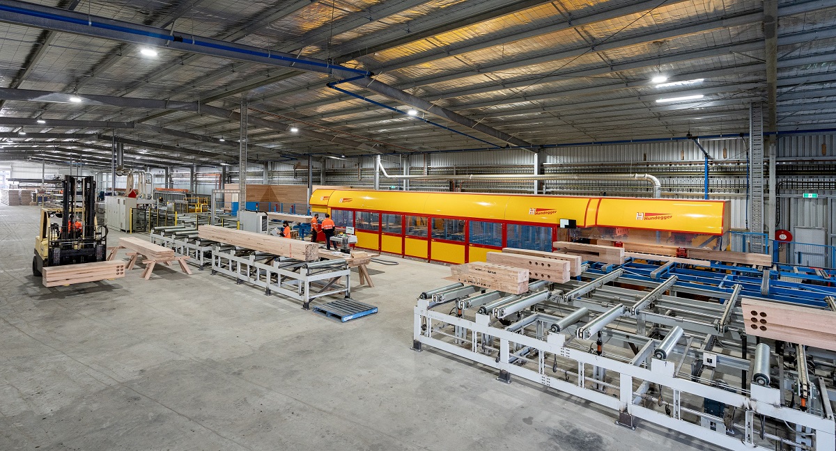 Inside ASH's MASSLAM (mass timber) production shed featuring the Hundegger K2i machine