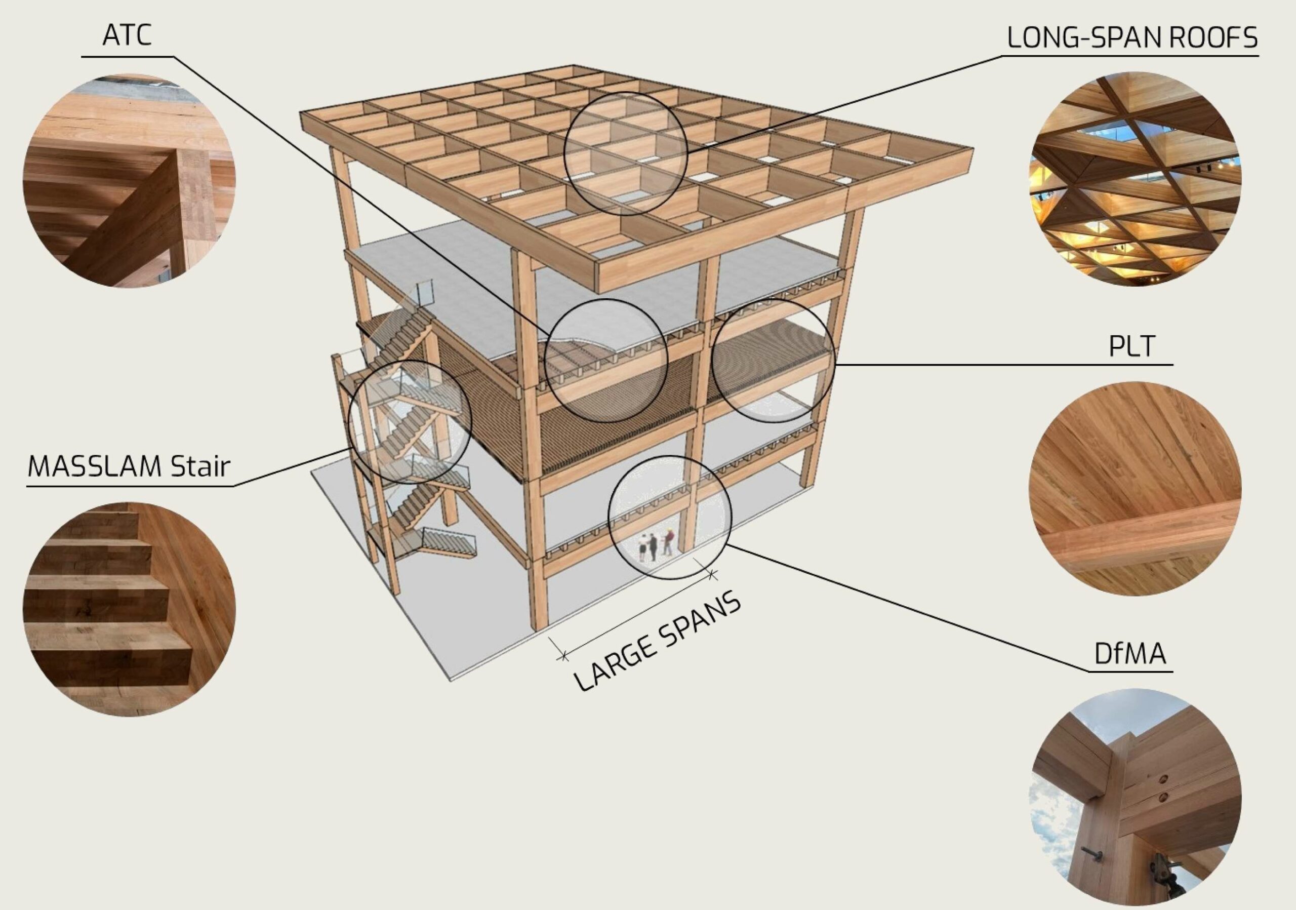 Cross-section diagram of the application possibilities of MASSLAM (mass timber)