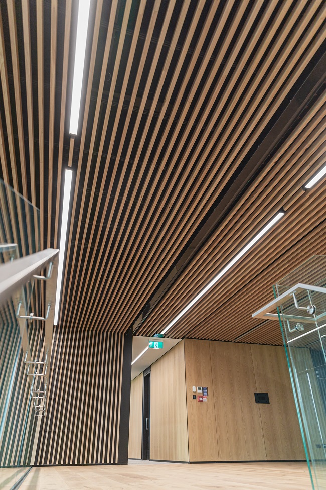 GoodWood_battens_APLOffice_Sculptform3