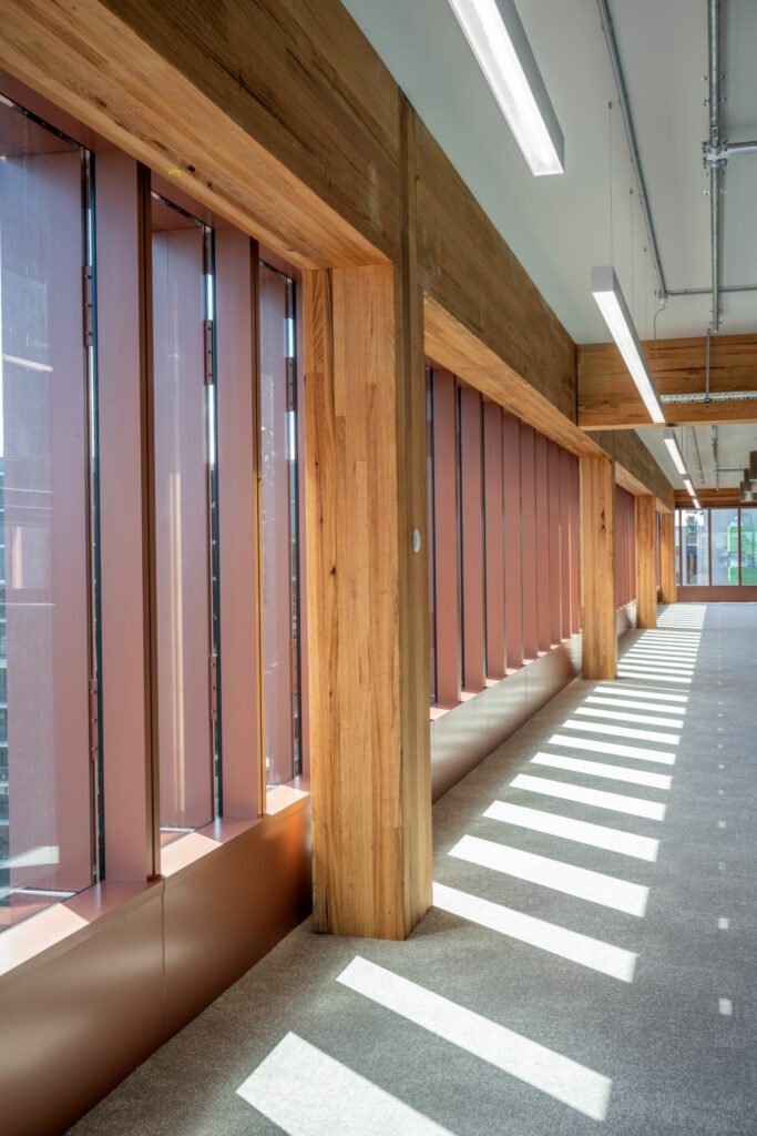 T3 Collingwood featuring MASSLAM columns and beams. Image: ICON Internal view of the impressive T3 Collingwood commercial office tower featuring ASH's MASSLAM (mass timber). Image credit: ICON