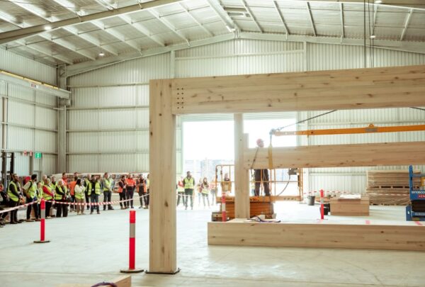 MASSLAM-Open-Day (75)_web Attendees at ASH's MASSLAM Open Day witnessing a live, full-scale installation demonstration of our MASSLAM bearing connection at our Heyfield mass timber production facility.
