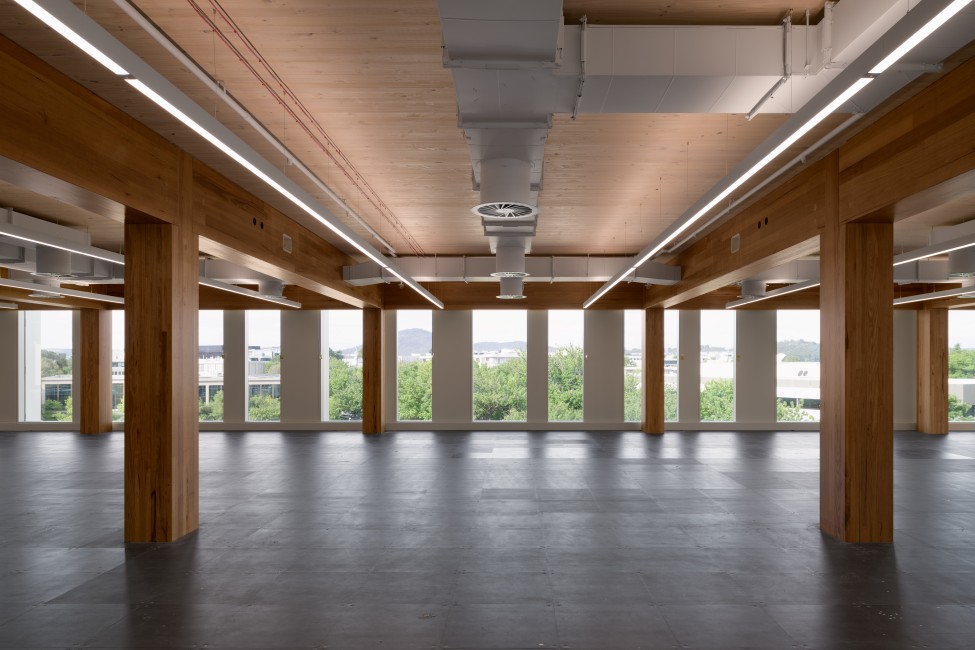 23 National Circuit in Canberra is the Australian capital's first mass timber office building. Featuring MASSLAM from ASH.