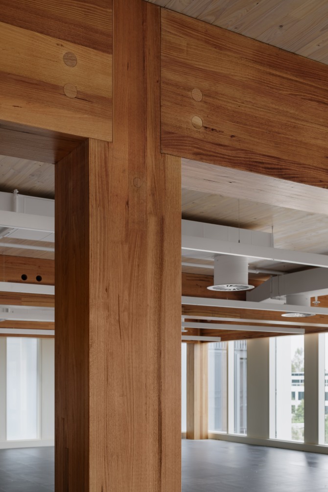23 National Circuit in Canberra is the Australian capital's first mass timber office building. Featuring MASSLAM from ASH.