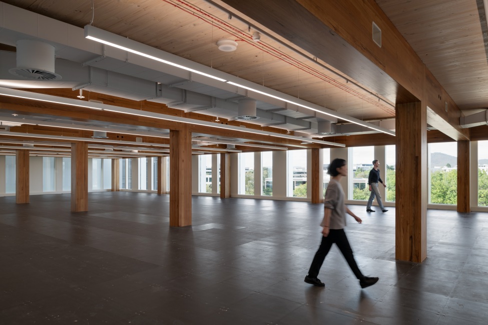 23 National Circuit in Canberra is the Australian capital's first mass timber office building. Featuring MASSLAM from ASH.