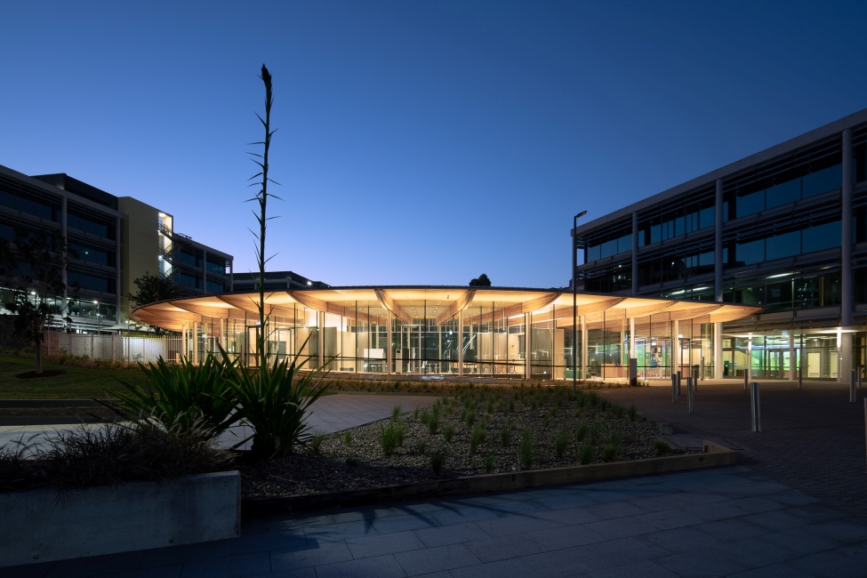 O Pavilion in Macquaire Park featuring MASSLAM 38 - ASH's Plantation Oak mass timber solution. Image: Richard Glover