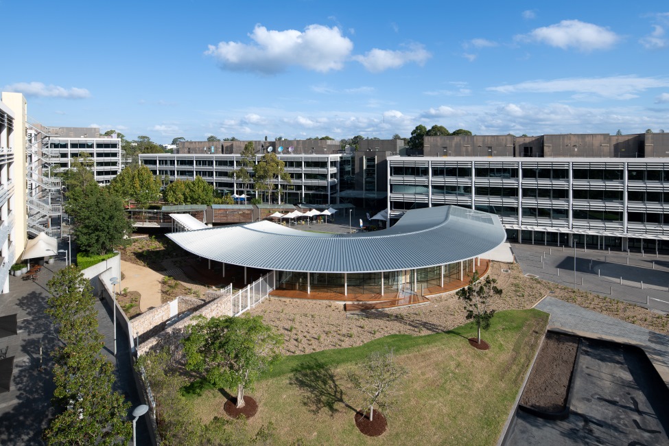 O Pavilion in Macquaire Park featuring MASSLAM 38 - ASH's Plantation Oak mass timber solution. Image: Richard Glover
