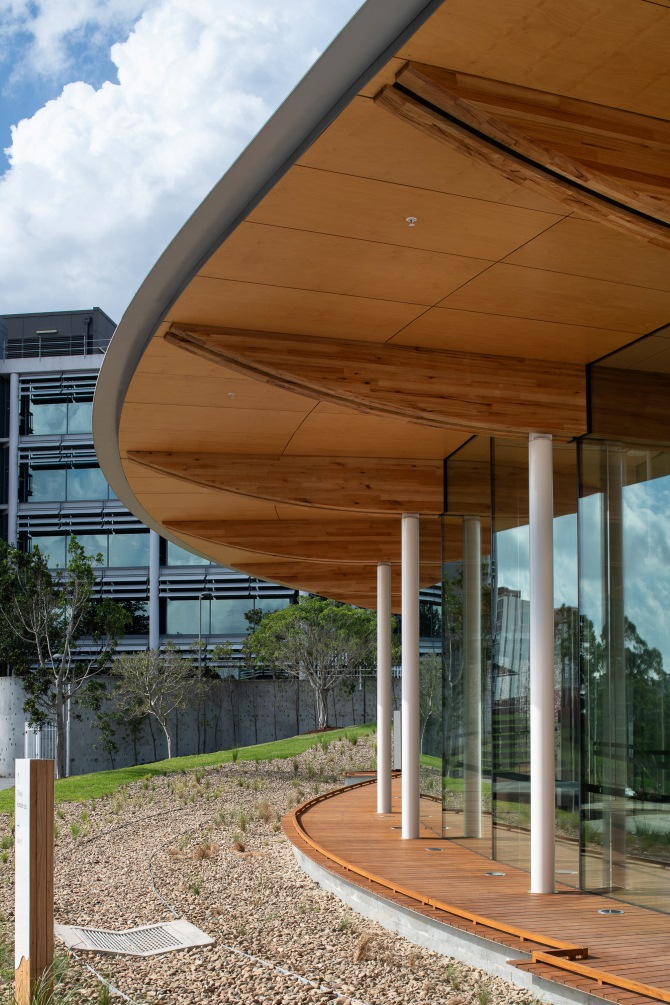 O Pavilion in Macquaire Park featuring MASSLAM 38 - ASH's Plantation Oak mass timber solution. Image: Richard Glover
