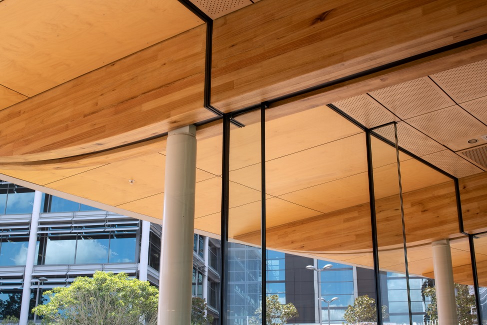 O Pavilion in Macquaire Park featuring MASSLAM 38 - ASH's Plantation Oak mass timber solution. Image: Richard Glover