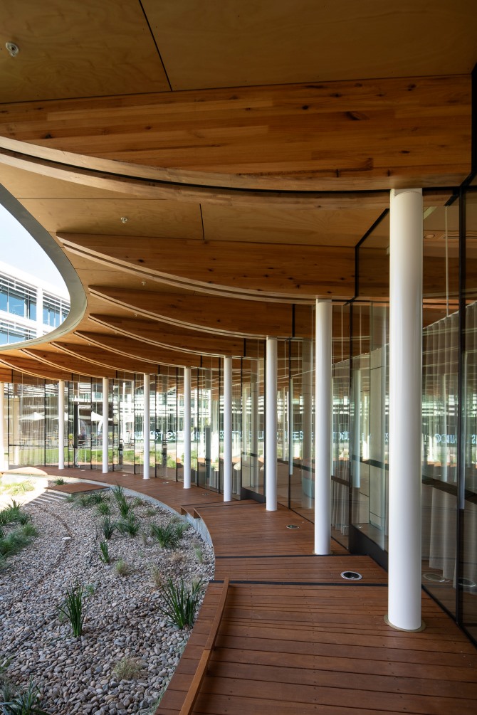 O Pavilion in Macquaire Park featuring MASSLAM 38 - ASH's Plantation Oak mass timber solution. Image: Richard Glover