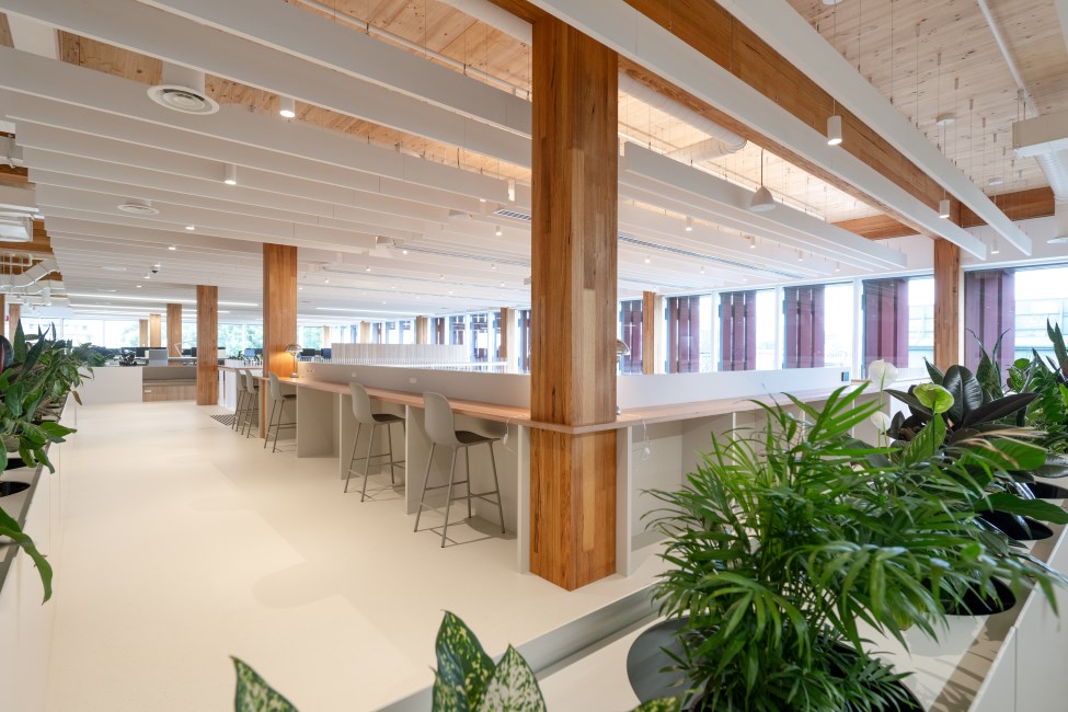Melbourne Racing Club's new administration building at Caulfield Racecourse made possible with mass engineered timber (MASSLAM) from Australian Sustainable Hardwoods (ASH). Image: Kane Jarrod