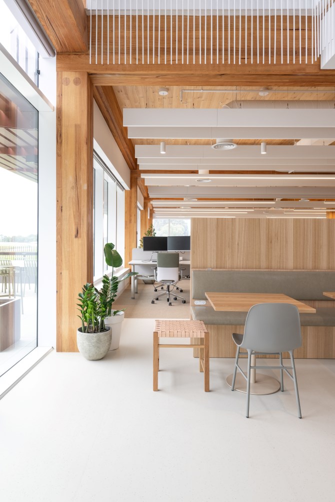 Melbourne Racing Club's new administration building at Caulfield Racecourse made possible with mass engineered timber (MASSLAM) from Australian Sustainable Hardwoods (ASH). Image: Kane Jarrod