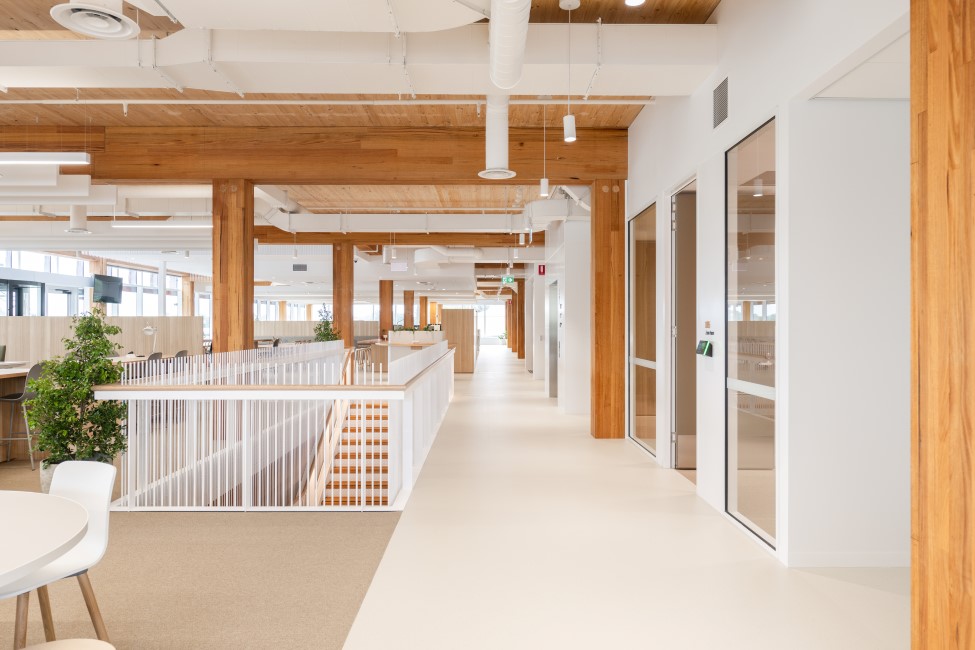 Melbourne Racing Club's new administration building at Caulfield Racecourse made possible with mass engineered timber (MASSLAM) from Australian Sustainable Hardwoods (ASH). Image: Kane Jarrod