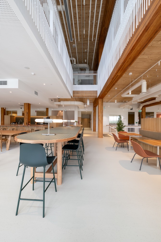 Melbourne Racing Club's new administration building at Caulfield Racecourse made possible with mass engineered timber (MASSLAM) from Australian Sustainable Hardwoods (ASH). Image: Kane Jarrod