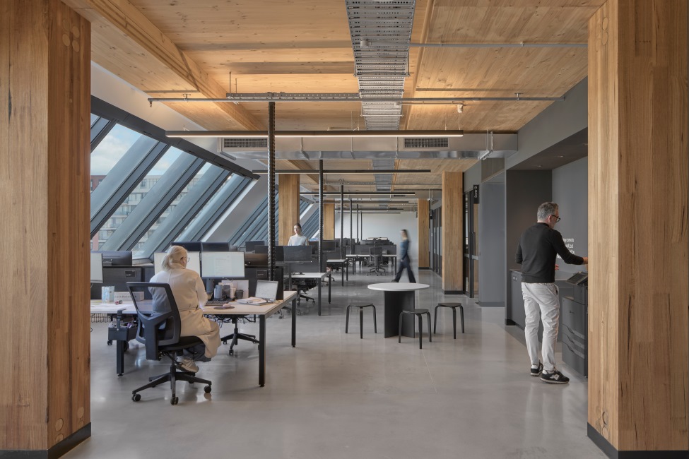 Decjuba head office in Cremore, Victoria feature exposed mass timber (MASSLAM) columns in Tasmanian Oak.