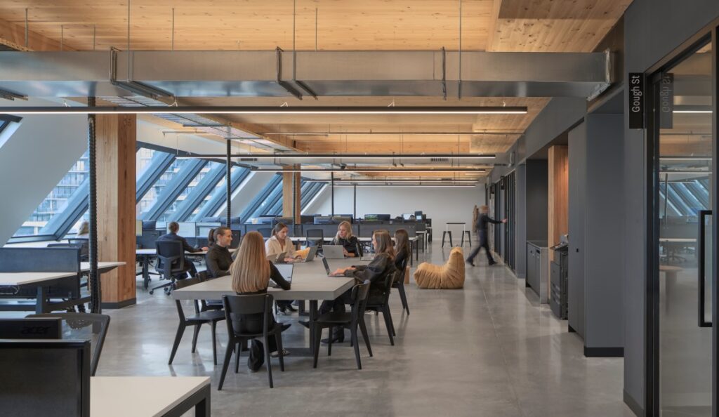 Decjuba head office in Cremore, Victoria feature exposed mass timber (MASSLAM) columns in Tasmanian Oak.