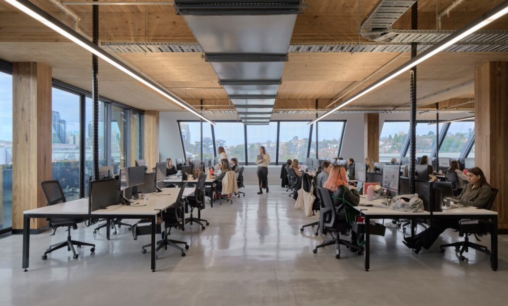 Decjuba head office in Cremore, Victoria feature exposed mass timber (MASSLAM) columns in Tasmanian Oak.
