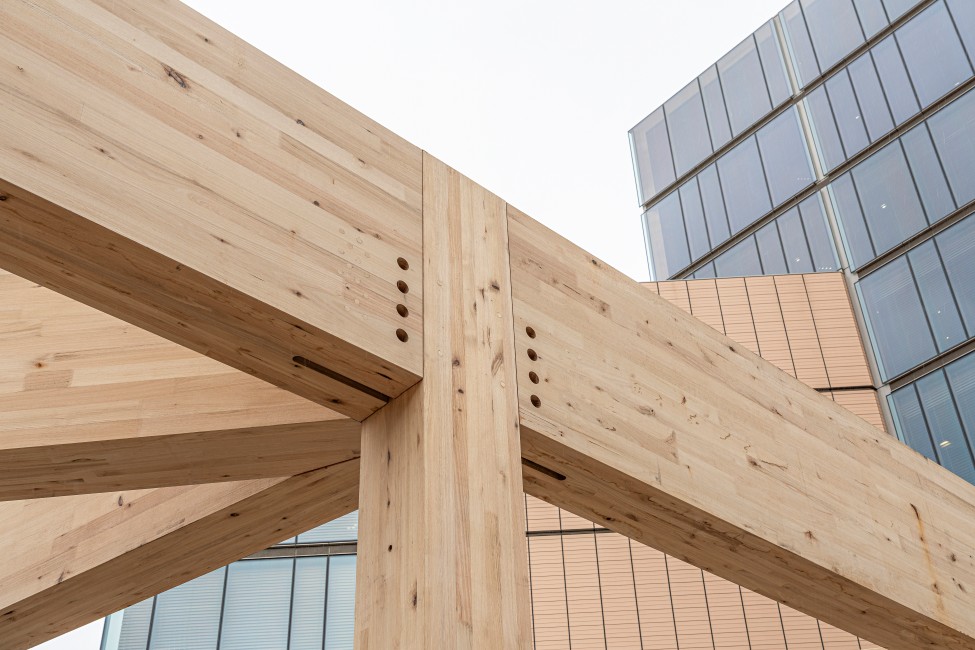 Under construction - the LUMINA event space at The Tasman hotel in Hobart featuring ASH's Plantation Oak mass engineered timber columns and beams.
