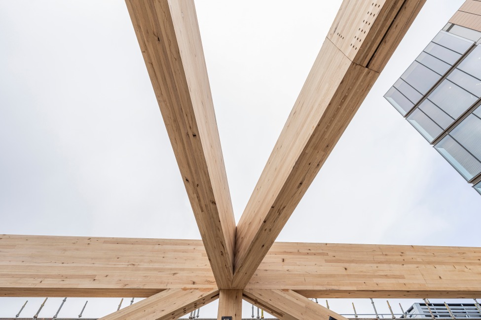 Under construction - the LUMINA event space at The Tasman hotel in Hobart featuring ASH's Plantation Oak mass engineered timber columns and beams.