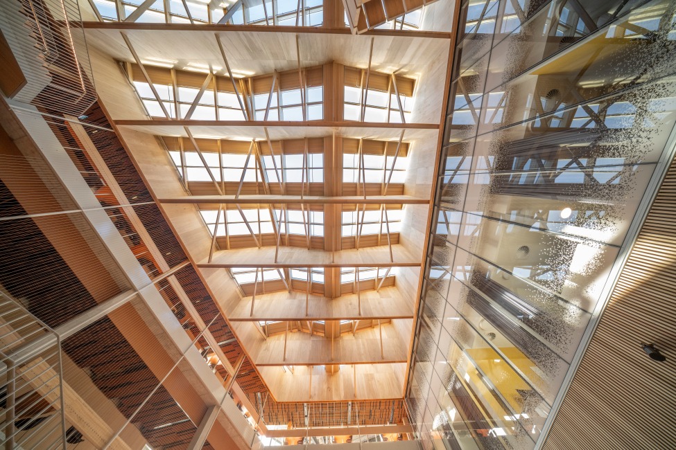 UTAS The Shed featuring Plantation Oak MASSLAM (mass timber from ASH).