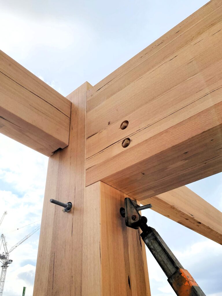 Canberra Institute of Technology (CIT) Woden campus during construction. Featuring Australian Oak mass engineered timber (MASSLAM).