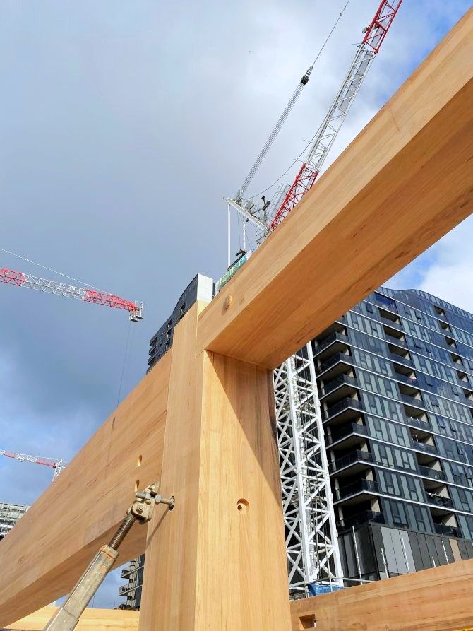Canberra Institute of Technology (CIT) Woden campus during construction. Featuring Australian Oak mass engineered timber (MASSLAM).