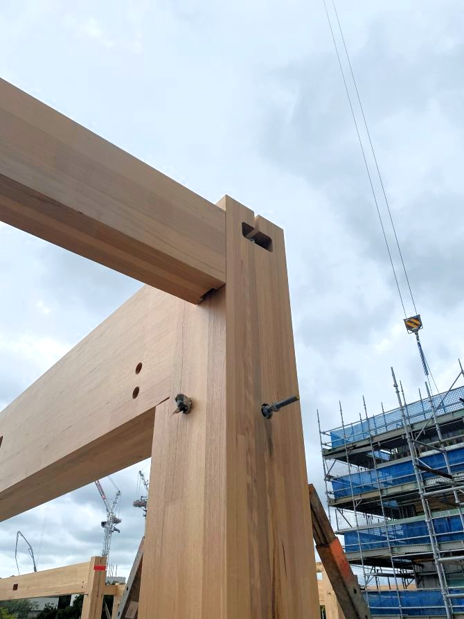 Canberra Institute of Technology (CIT) Woden campus during construction. Featuring Australian Oak mass engineered timber (MASSLAM).