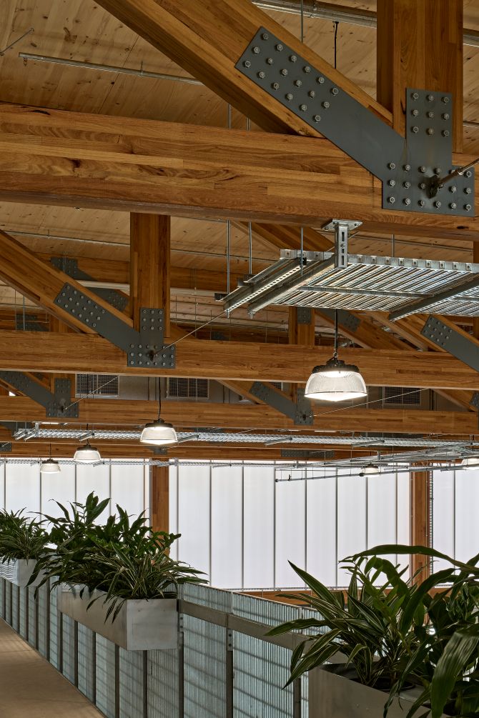 Tonsley Technical College - Factory of the Future is SA's first glulam and CLT building. Featuring ASH's MASSLAM columns and beams throughout.
