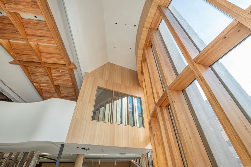 UTAS The Forest by Woods Bagot featuring ASH's Australian Oak MASSLAM.