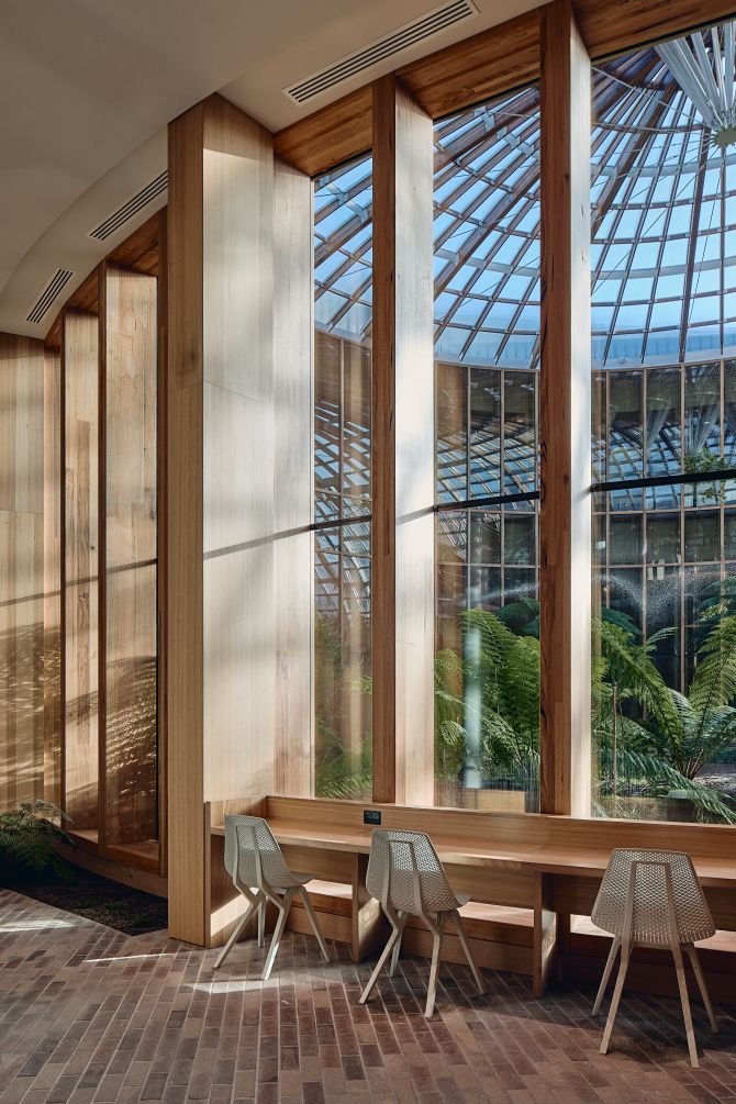 UTAS The Forest by Woods Bagot featuring ASH's Australian Oak MASSLAM.